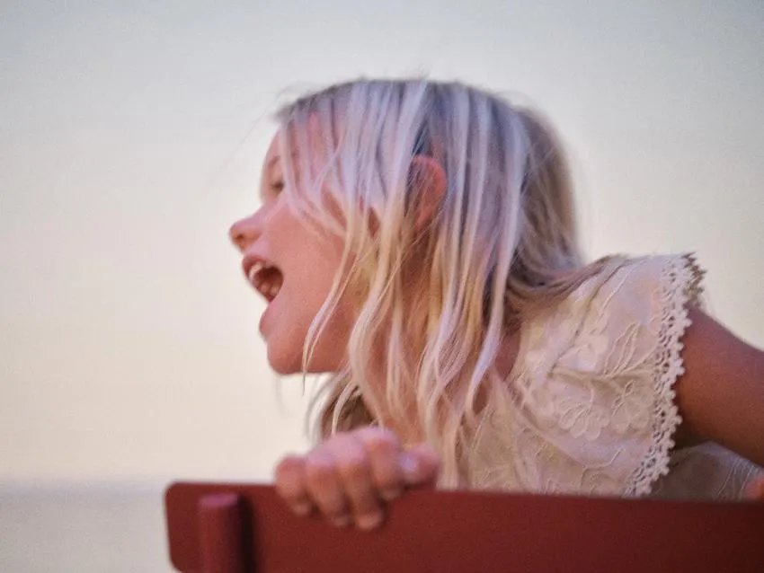 EMBROIDERED FLORAL DRESS