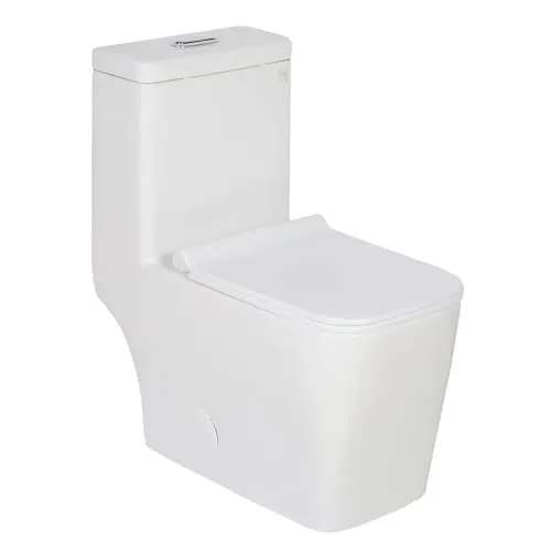 Carrie 4.15L / 6.06L Dual Flush Elongated One-Piece Toilet in White