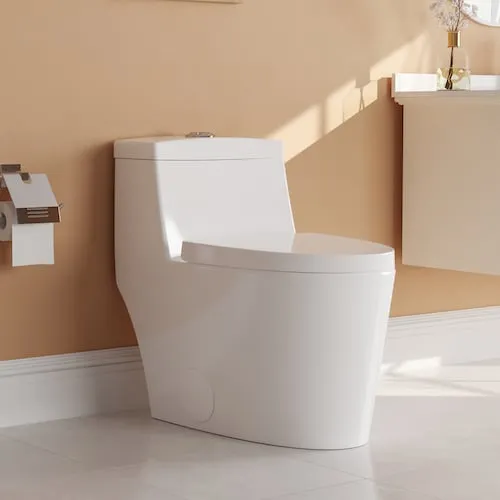 12 in. Rough In 1-Piece 1.1/1.6 GPF Dual Flush Elongated Toilet in White, Seat Included