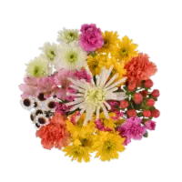 Sunshine Bouquet Bloom Haus Recipe A