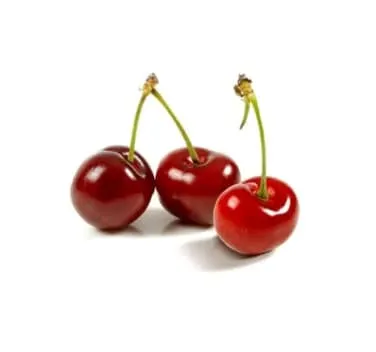 Moreller