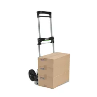 BFT 120 - TRANSPORTKARRE, SACKKARRE FALTBAR, Belastbarkeit 120 kg