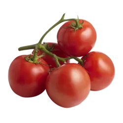 Tomato On The Vine Red (1 Bunch)