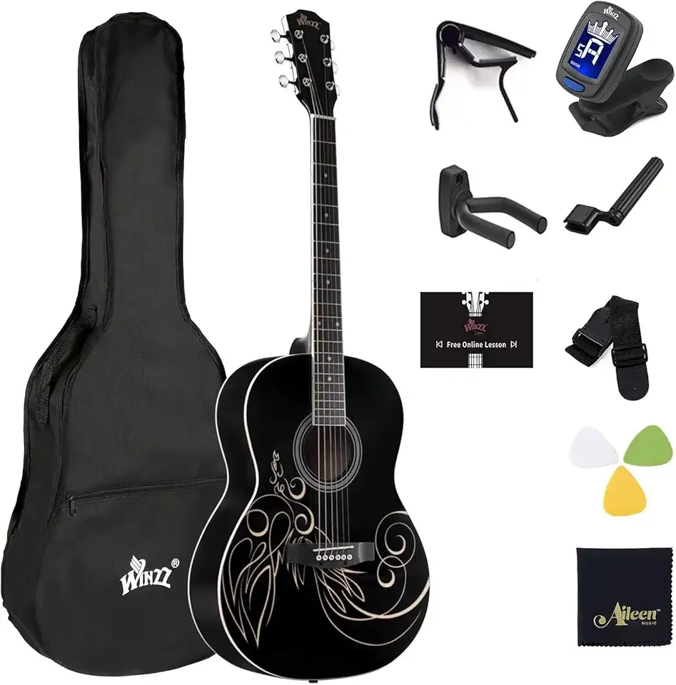 WINZZ AF227A 39 Inches Concert Acoustic Acustica Guitar with Full Kit, Delicate Vine