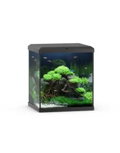 Juwel Aquarium Vio Cube 54 41x36x47 cm - Aquaria