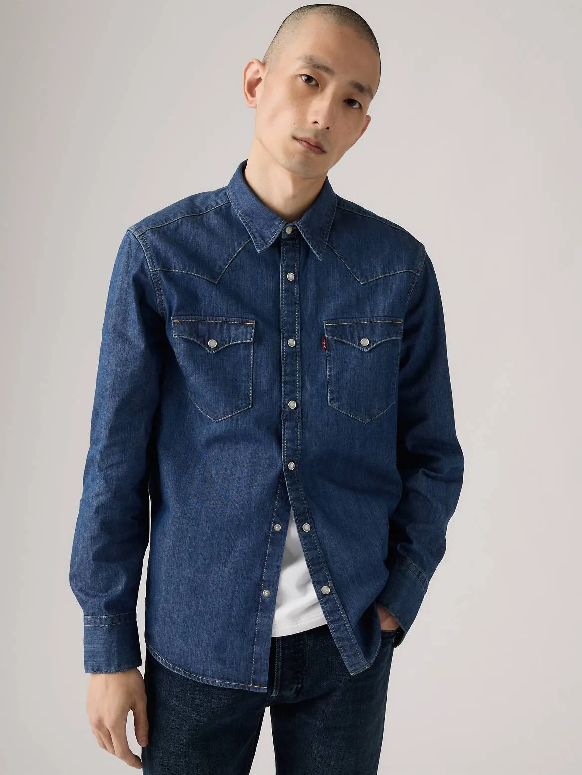 Barstow Western Standard Fit Shirt