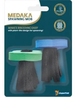 Superfish Medaka Spawning Mob - Binnenvijver - 2 stuks