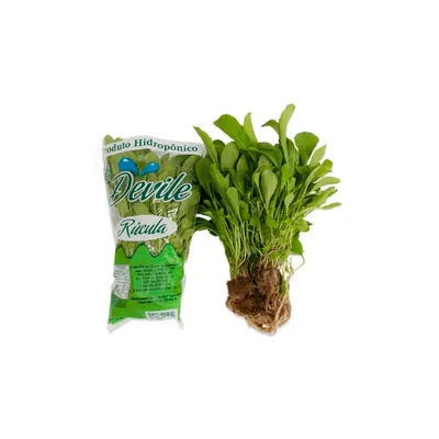 rúcula devile hidropônica unidade