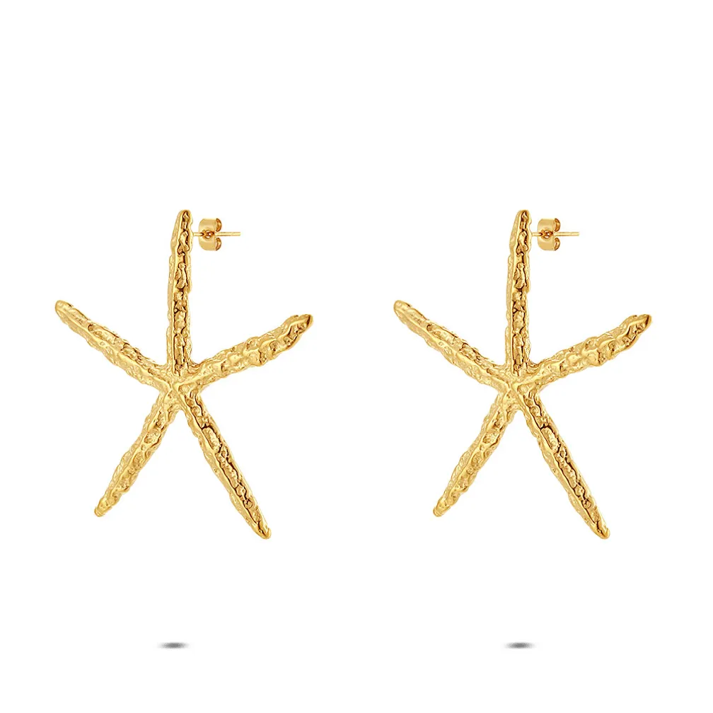 Oorbellen in edelstaal, ster