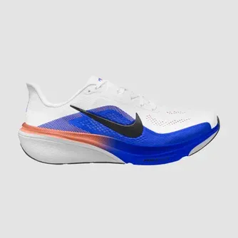 Nike Mens Pegasus 42 Running Shoes