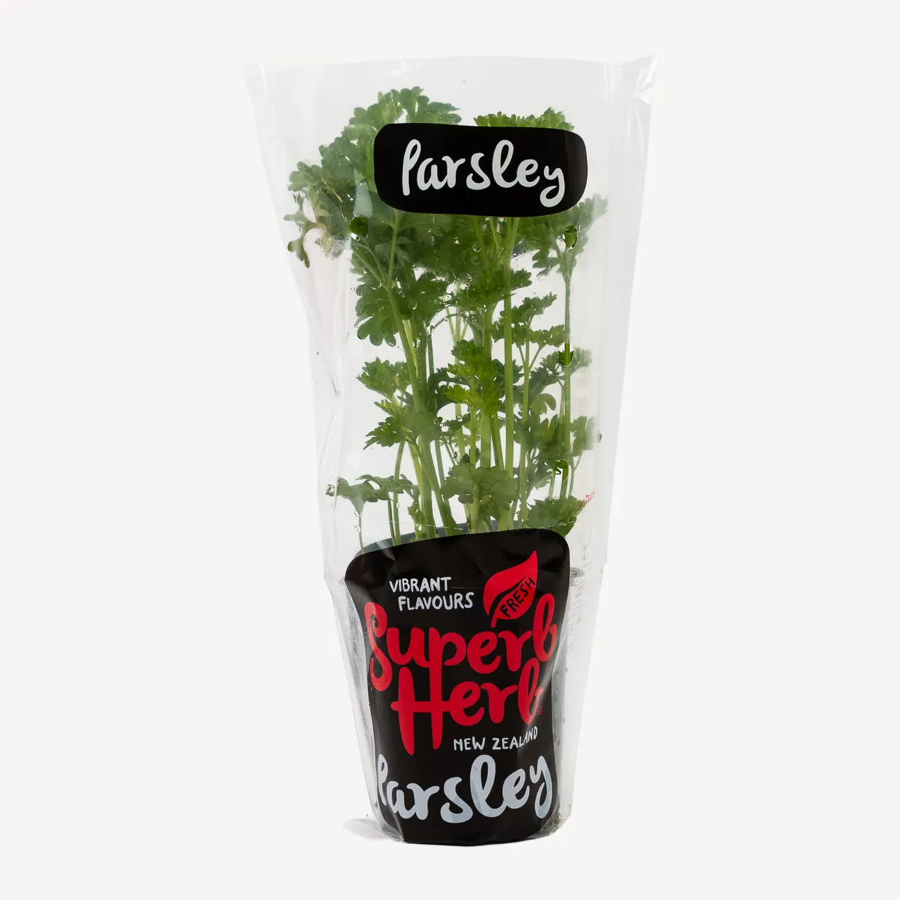 superb herb parsley curley small