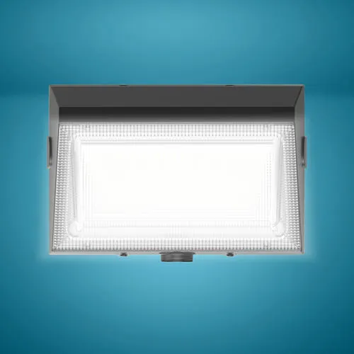 Patriot Lighting® Black Dusk to Dawn Outdoor Security Wall Pack