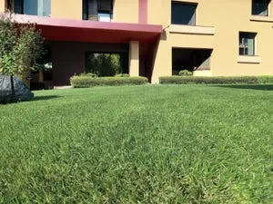 Erba sintetica 50 mm 4F GROUP Wimbledon al rotolo 5 x 2 m, 10 m²