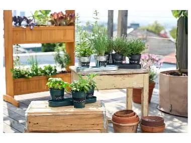 Macetas para plantas aromáticas