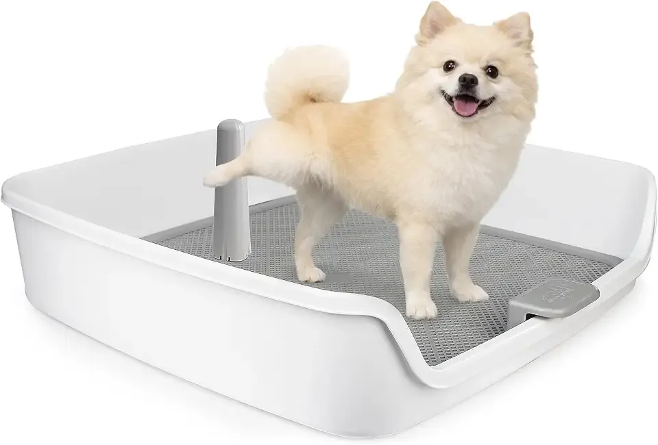 ALL FOR PAWS Dog Potty Tray, 24.8"x24.8"Indoor Pet Pee Pad Holder with Pee Post, Puppy Potty Trainer, Dog Litter Box and Pet Toilet for Small Medium Dogs, Housebreaking Supplies(Pee Pads Not Included)