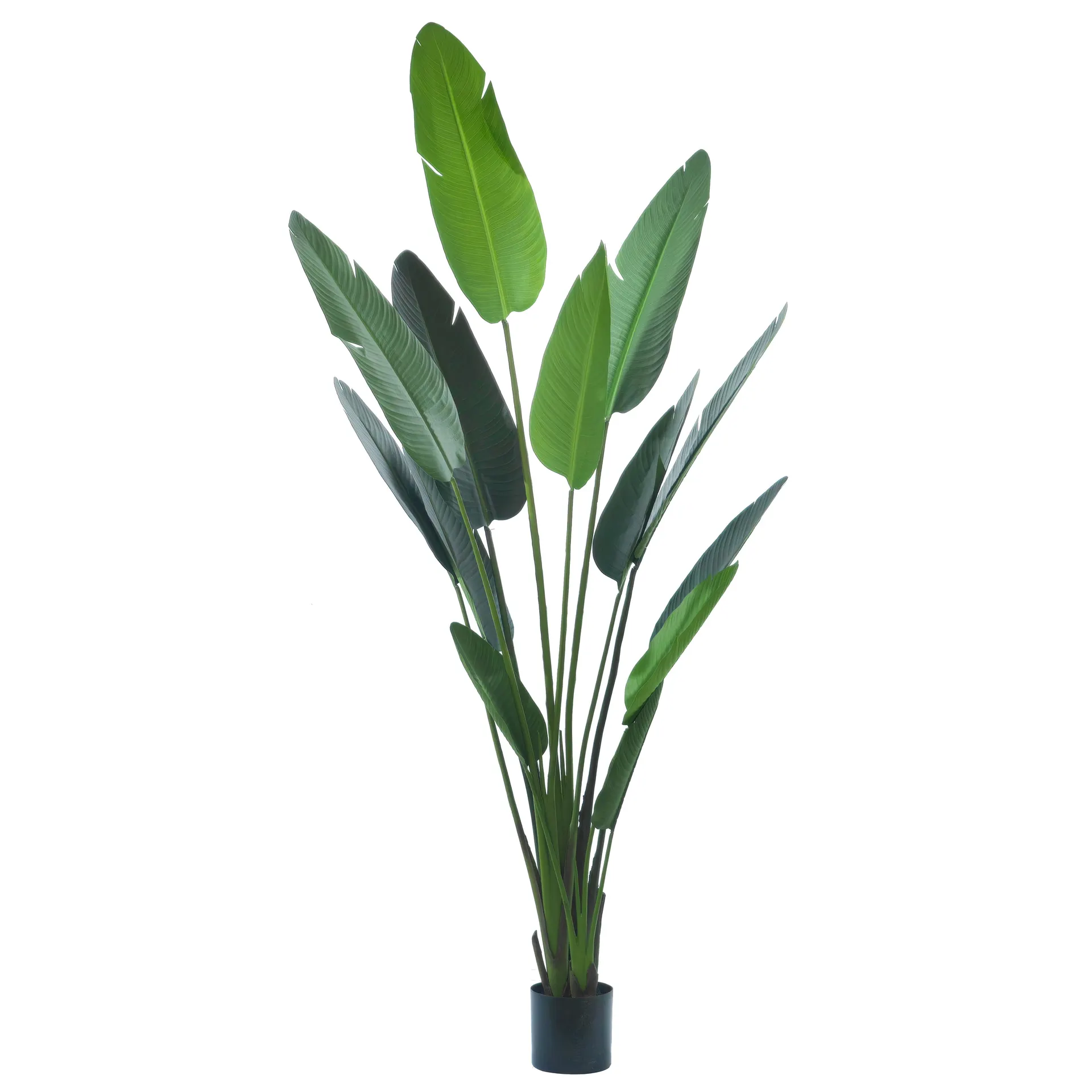 Pianta artificiale Banano in vaso h235 cm