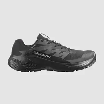Salomon Womens Alphaglide GTX Running Shoes