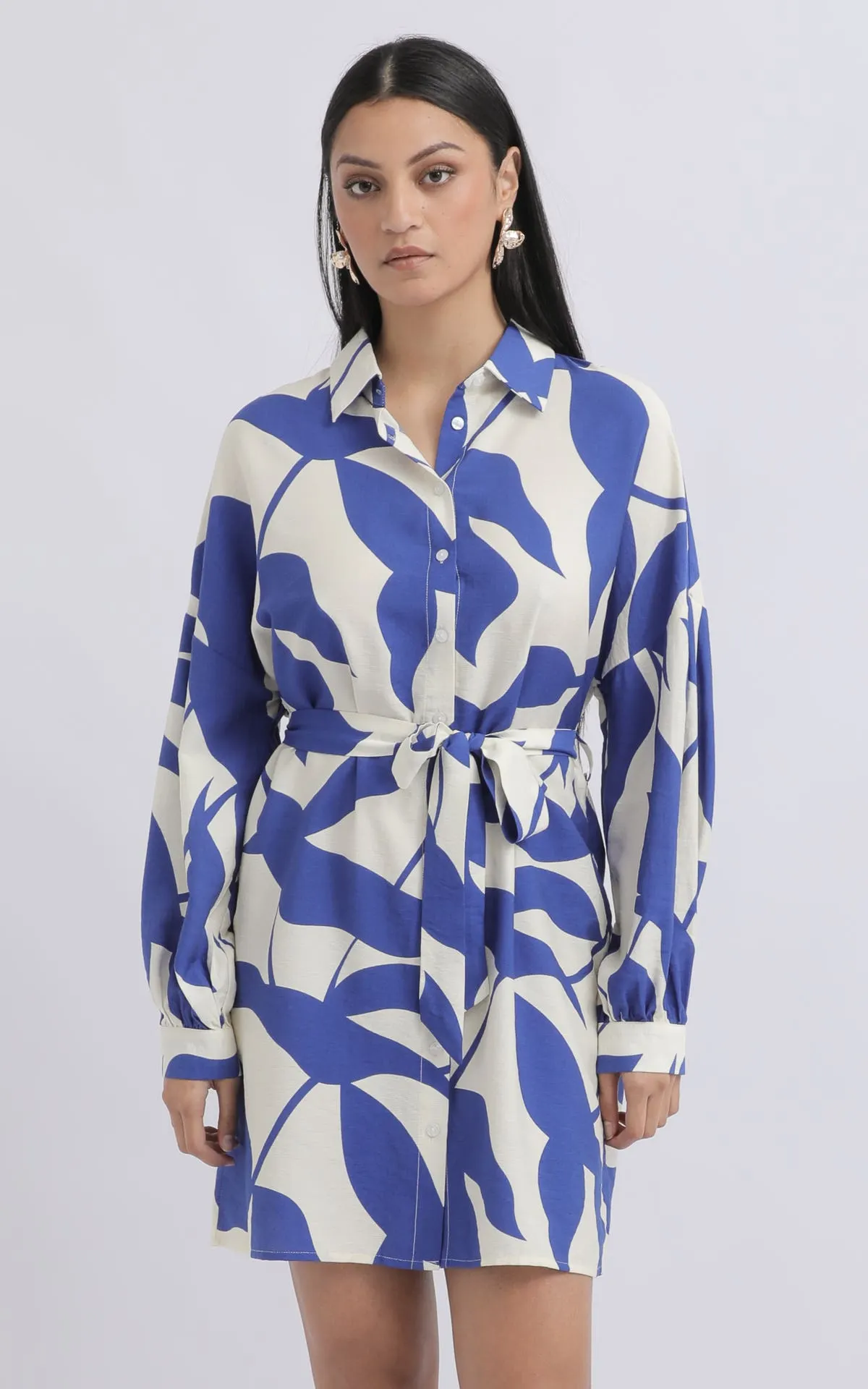 Voile Balloon Sleeve Shirt Dress
