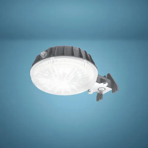 Patriot Lighting® Grey LED Dusk-to-Dawn Outdoor Security Area Light