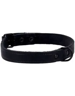 Adori Halsband Vetleder Met Print Zwart - Halsband