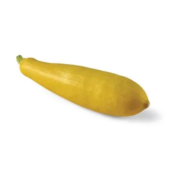 Fresh Yellow Squash, Avg. 0.45 lb