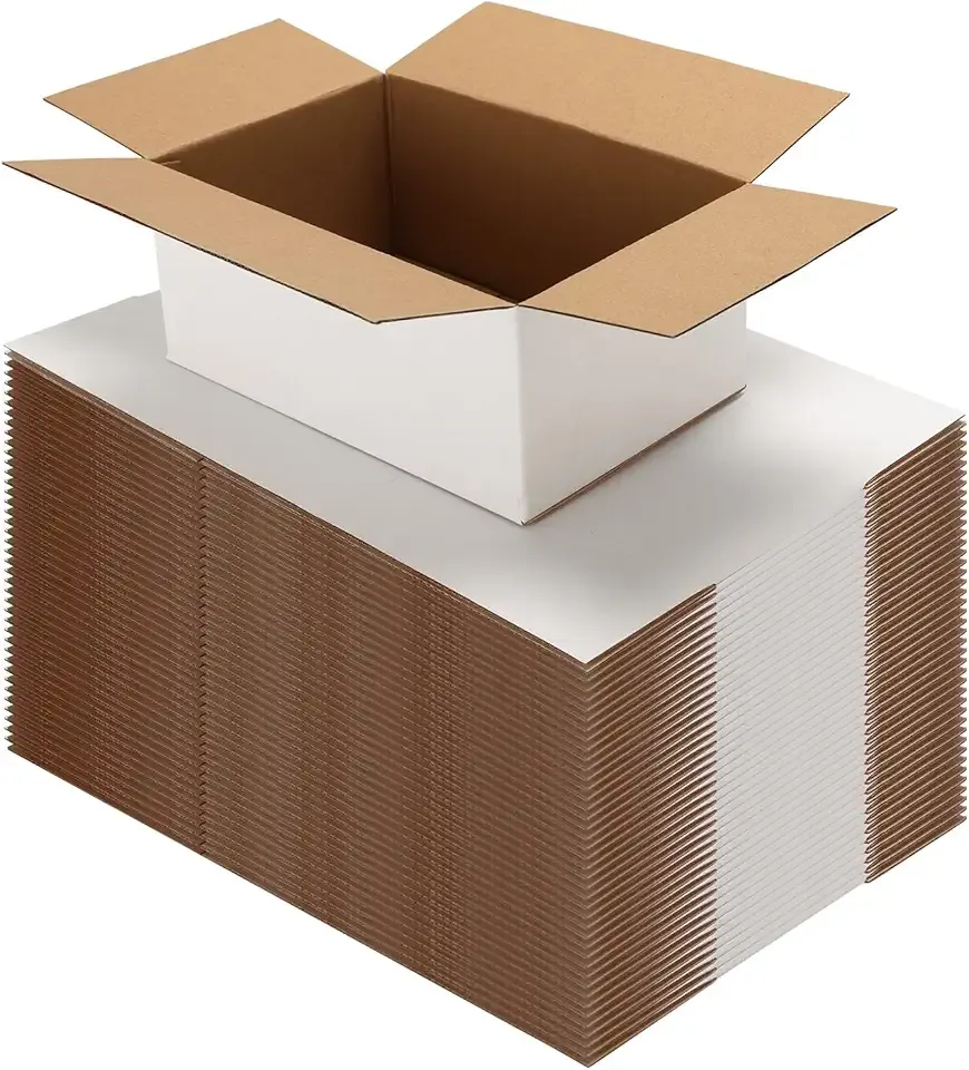 HORLIMER 9x6x4 Shipping Boxes Set of 40, White Corrugated Cardboard Mailer Box for Packing Small Business
