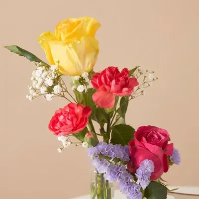 Brievenbusbloemen | Plankje Hoera