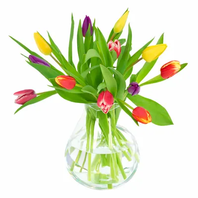 Brievenbusbloemen | Boeket Tulpen