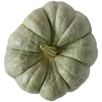 H-E-B Texas Roots Blue Delight Pumpkin, Each