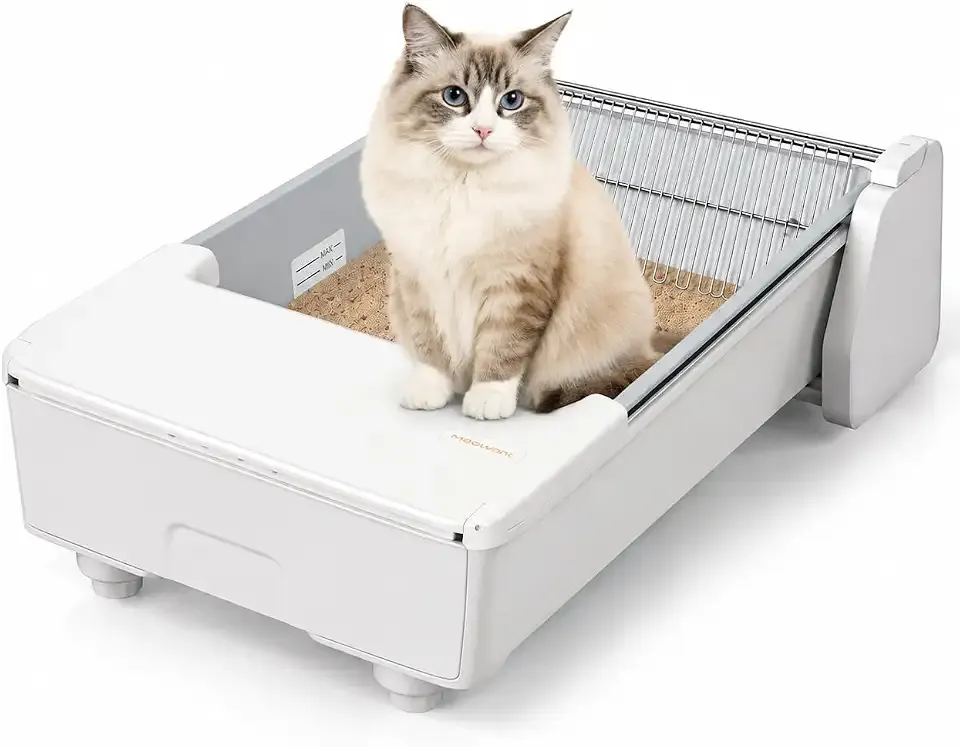 Meowant Self Cleaning Cat Litter Box with App Control, Dual Rake System | Open-Top For Easy Access, Safety Sensors, Odor Control Create A Safer, Fresher Home For Cats.