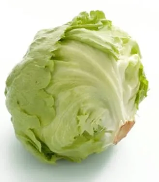 Isbergsalat