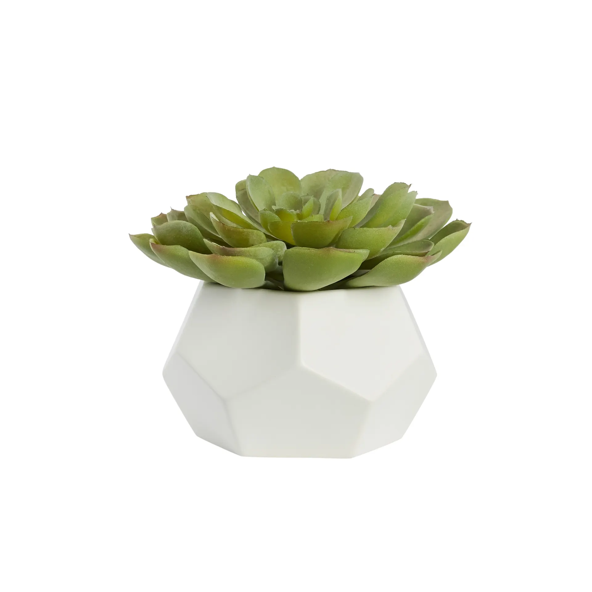 6-in Green Indoor Desktop Succulent Artificial Plant