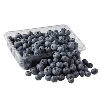Fresh Organic Blueberries, 18 oz