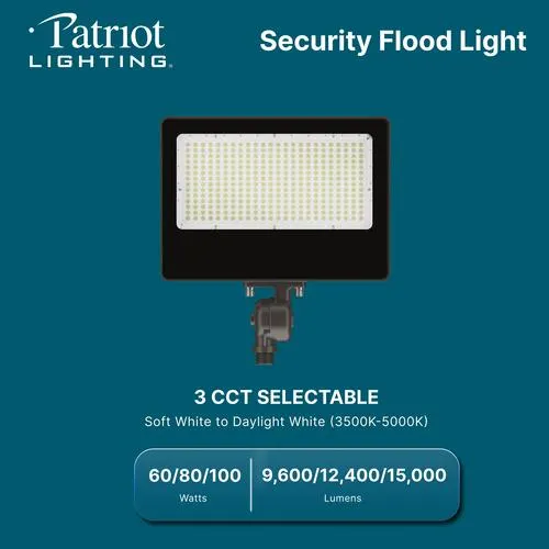 Patriot Lighting® LED Bronze Outdoor Dusk-to-Dawn Security Flood Light