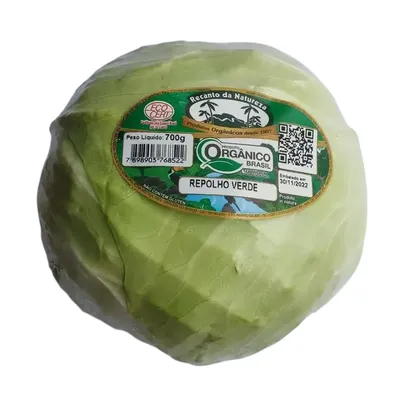 repolho verde orgânico 500g