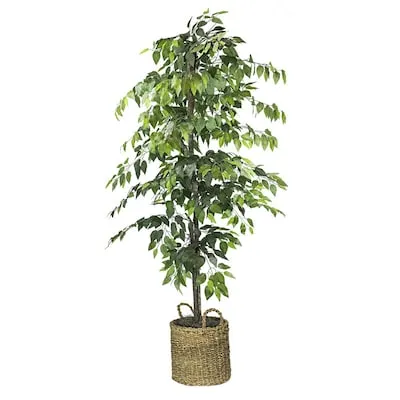 72-in Green Indoor Floor Ficus Artificial tree