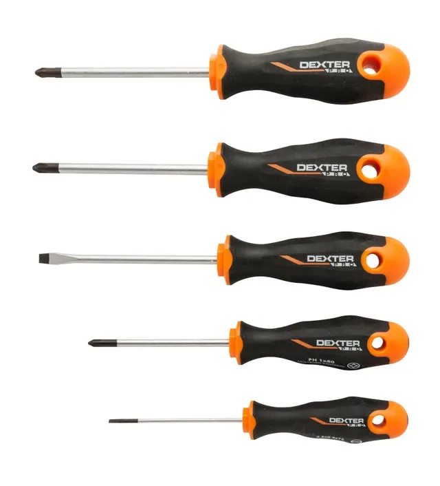 Set di 5 cacciaviti assortiti DEXTER PRO