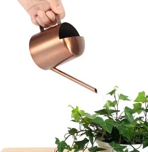 Annaffiatoio in acciaio inox da 300 ml - Modello piccolo con beccuccio lungo - Per un'irrigazione precisa di piante, fiori e bonsai in casa