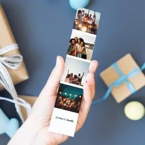 Bilderemse | Midtpunkt