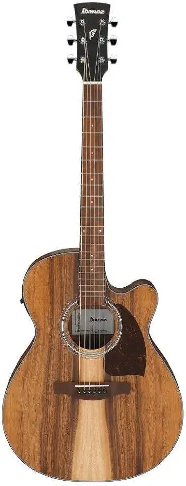 Ibanez PC50WSCE Acoustic-electric Guitar - Open-pore Natural