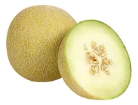 BONI melon galia