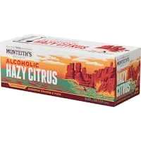 monteith's craft beer citrus hazy Can 10 x 330mL