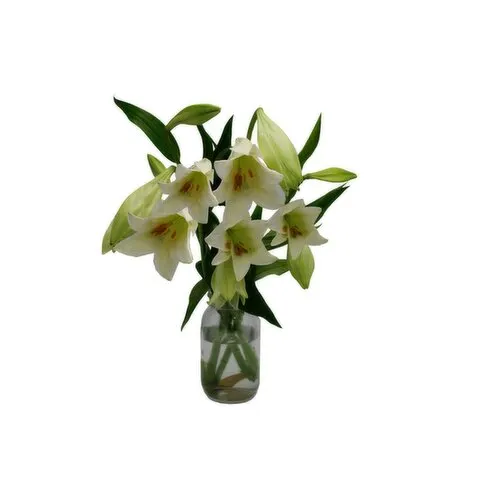 SuperValu Lily (1 Piece) Open Product Description