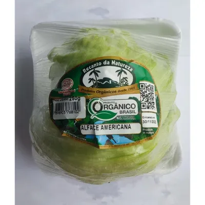 alface americana orgânica 250g