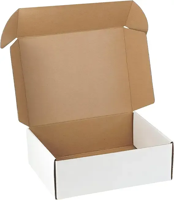 12"x9"x4" Shipping Boxes Set of 5, White Corrugated Cardboard Box Literature Mailer