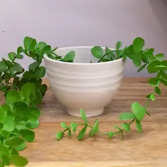 Boston Living Eco Linear Footed Planter Pot White Stone 9cm
