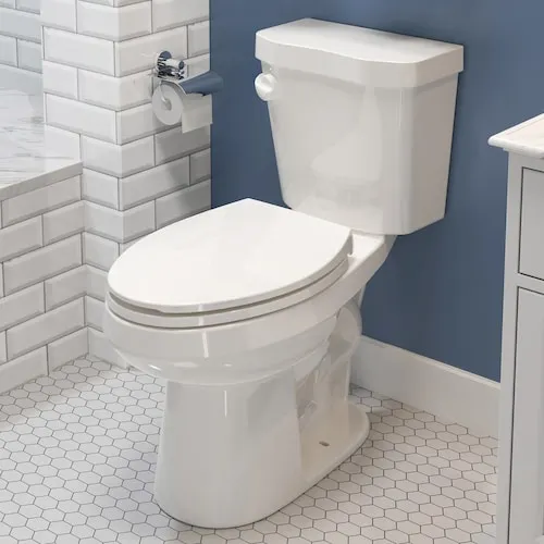 2-Piece 1.28GPF Single Flush ADA Chair Height Elongated Toilet,Soft-Close Seat