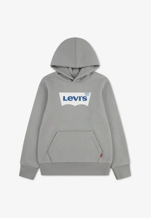 BATWING SCREENPRINT UNISEX - Hoodie - ghost gray