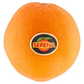 Handsinaasappelen los