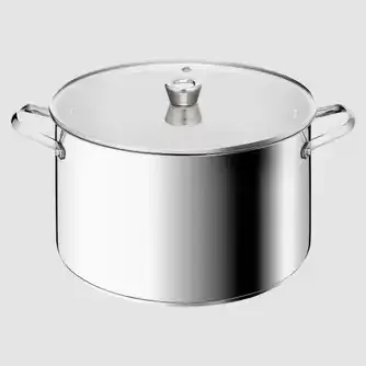Tefal Space+ Emotion+ XL Induction Stainless Steel Big Pot 13.8L